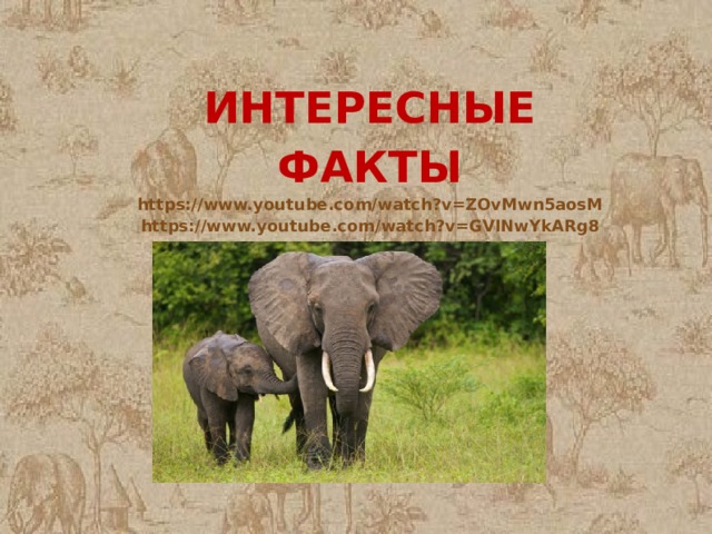 ИНТЕРЕСНЫЕ ФАКТЫ https://www.youtube.com/watch?v=ZOvMwn5aosM https://www.youtube.com/watch?v=GVINwYkARg8 
