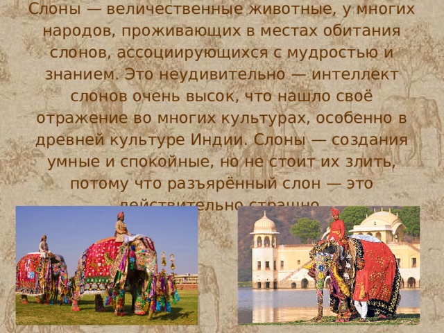 Слоны — величественные животные, у многих народов, проживающих в местах обитания слонов, ассоциирующихся с мудростью и знанием. Это неудивительно — интеллект слонов очень высок, что нашло своё отражение во многих культурах, особенно в древней культуре Индии. Слоны — создания умные и спокойные, но не стоит их злить, потому что разъярённый слон — это действительно страшно. 