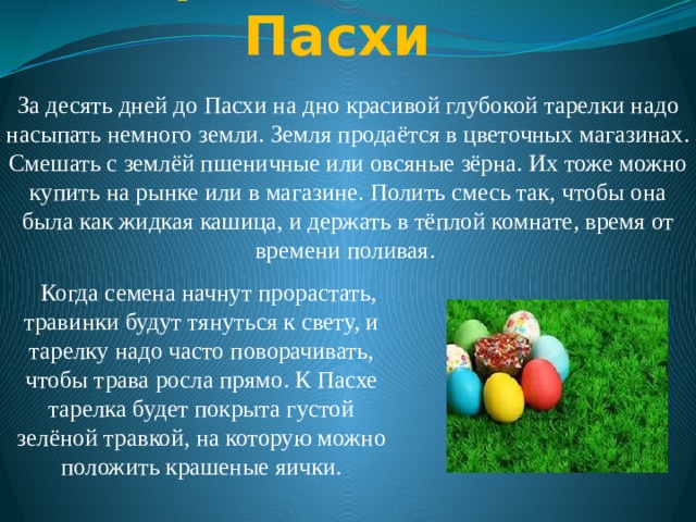 Тарелочка для Пасхи   За десять дней до Пасхи на дно красивой глубокой тарелки надо насыпать немного земли. Земля продаётся в цветочных магазинах. Смешать с землёй пшеничные или овсяные зёрна. Их тоже можно купить на рынке или в магазине. Полить смесь так, чтобы она была как жидкая кашица, и держать в тёплой комнате, время от времени поливая. Когда семена начнут прорастать, травинки будут тянуться к свету, и тарелку надо часто поворачивать, чтобы трава росла прямо. К Пасхе тарелка будет покрыта густой зелёной травкой, на которую можно положить крашеные яички. 