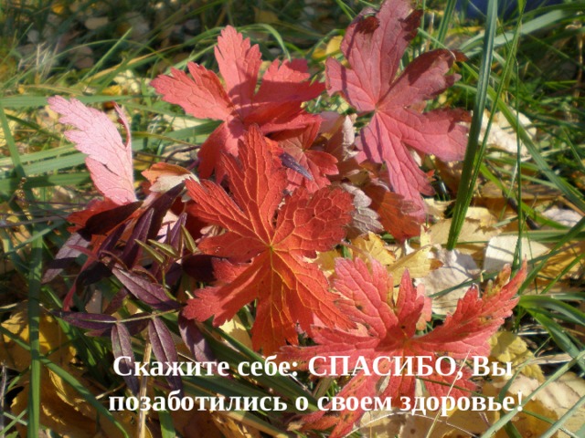 Скажите себе: СПАСИБО, Вы позаботились о своем здоровье! 