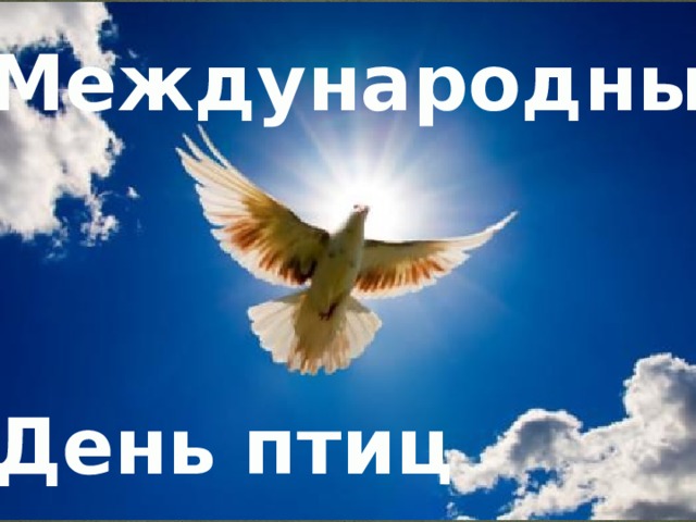  Международный День птиц 