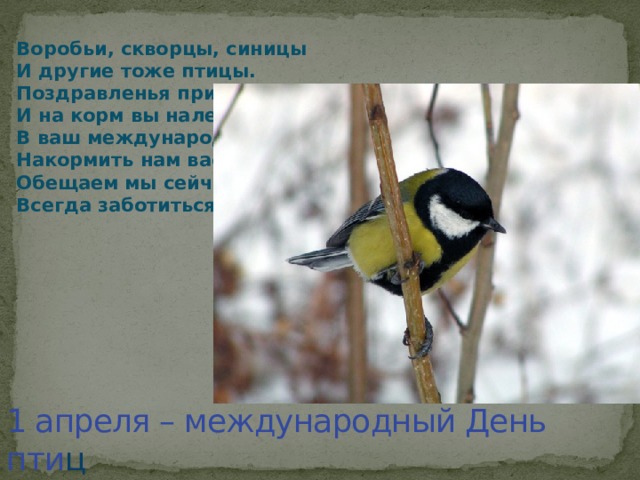 Воробьи, скворцы, синицы  И другие тоже птицы.  Поздравленья принимайте,  И на корм вы налетайте.  В ваш международный день  Накормить нам вас не лень.  Обещаем мы сейчас  Всегда заботиться о вас.   1 апреля – международный День пти ц 