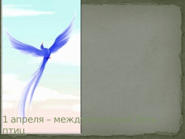 1 апреля – международный День птиц 