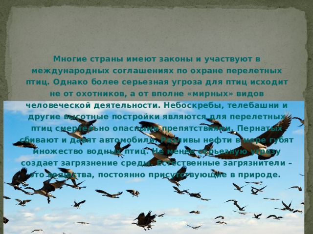 Многие страны имеют законы и участвуют в международных соглашениях по охране перелетных птиц. Однако более серьезная угроза для птиц исходит не от охотников, а от вполне «мирных» видов человеческой деятельности. Небоскребы, телебашни и другие высотные постройки являются для перелетных птиц смертельно опасными препятствиями. Пернатых сбивают и давят автомобили. Разливы нефти в море губят множество водных птиц. Не менее серьезную угрозу создает загрязнение среды. Естественные загрязнители – это вещества, постоянно присутствующие в природе.       