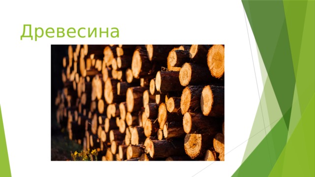 Древесина 
