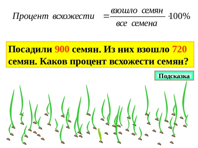 Посадили 900 семян. Из них взошло 720  семян. Каков процент всхожести семян? Подсказка  