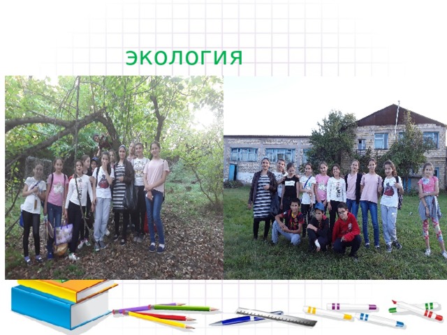 экология 