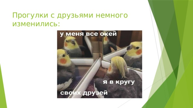 Прогулки с друзьями немного изменились: 