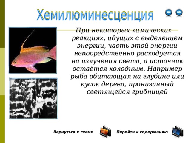 При некоторых химических реакциях, идущих с выделением энергии, часть этой энергии непосредственно расходуется на излучения света, а источник остаётся холодным. Например рыба обитающая на глубине или кусок дерева, пронизанный светящейся грибницей Перейти к содержанию  Вернуться к схеме  