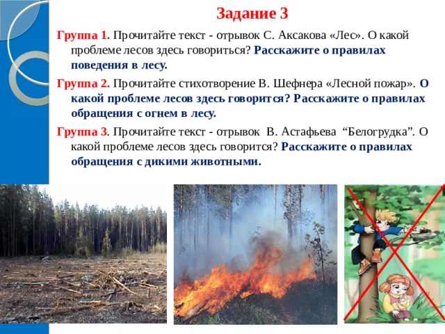 Задание 3 Группа 1. Прочитайте текст - отрывок С. Аксакова «Лес». О какой проблеме лесов здесь говориться? Расскажите о правилах поведения в лесу. Группа 2.  Прочитайте стихотворение В. Шефнера «Лесной пожар». О какой проблеме лесов здесь говорится? Расскажите о правилах обращения с огнем в лесу. Группа 3 . Прочитайте текст - отрывок В. Астафьева “Белогрудка”. О какой проблеме лесов здесь говорится? Расскажите о правилах обращения с дикими животными.  