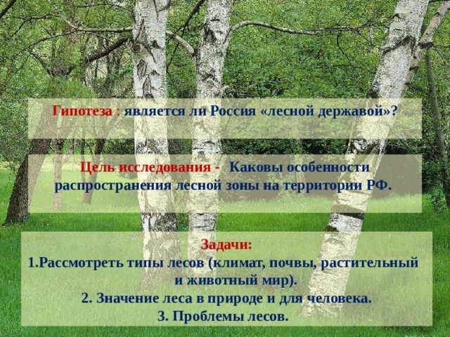 Гипотеза : является ли Россия «лесной державой»?  Цель исследования -  Каковы особенности распространения лесной зоны на территории РФ.  Задачи: 1.Рассмотреть типы лесов (климат, почвы, растительный и животный мир). 2. Значение леса в природе и для человека. 3. Проблемы лесов. 