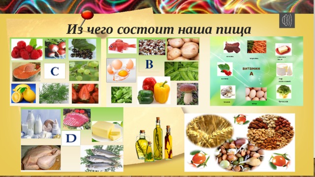 Из чего состоит наша пища 