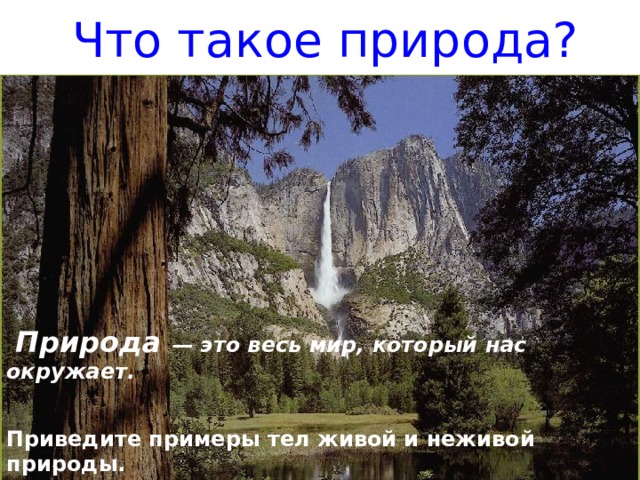Что такое природа?  Природа — это весь мир, который нас окружает.  Приведите примеры тел живой и неживой природы. 