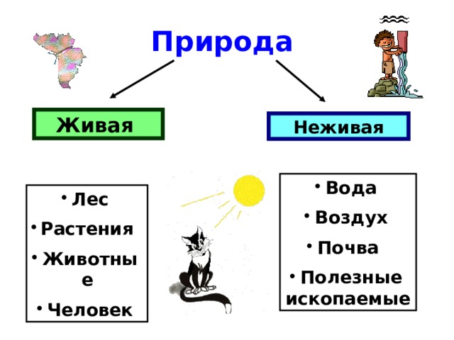 Природа Живая Неживая Вода Воздух Почва Полезные ископаемые Лес Растения Животные Человек 
