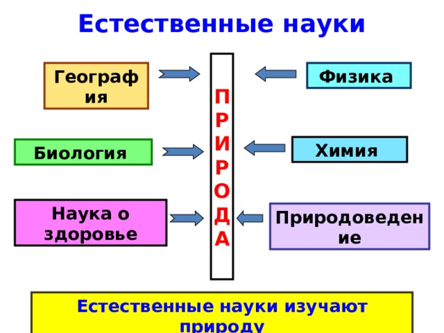 Естественные науки П Р И Р О Д А П География Физика Р И Химия Биология Р О Наука о здоровье Природоведение Д А Естественные науки изучают природу 