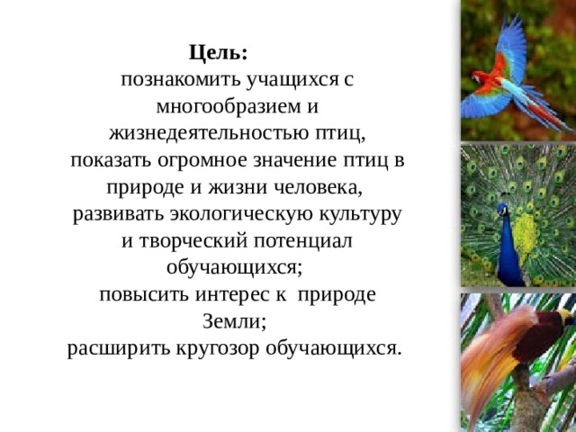 Цель:   познакомить учащихся с многообразием и жизнедеятельностью птиц,  показать огромное значение птиц в природе и жизни человека,  развивать экологическую культуру и творческий потенциал обучающихся;  повысить интерес к  природе Земли;  расширить кругозор обучающихся.   
