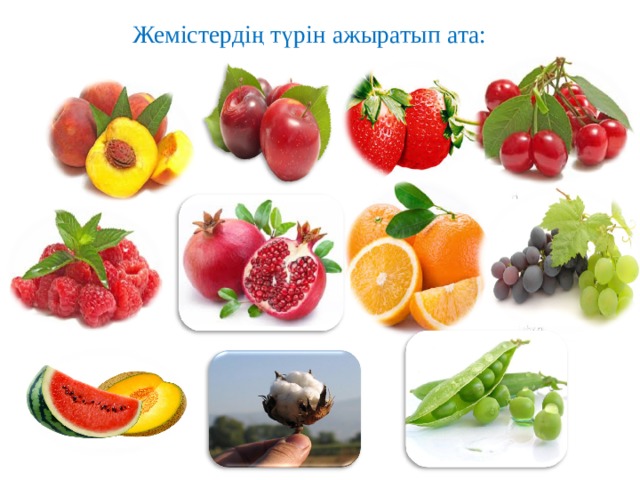 Жемістердің түрін ажыратып ата: 