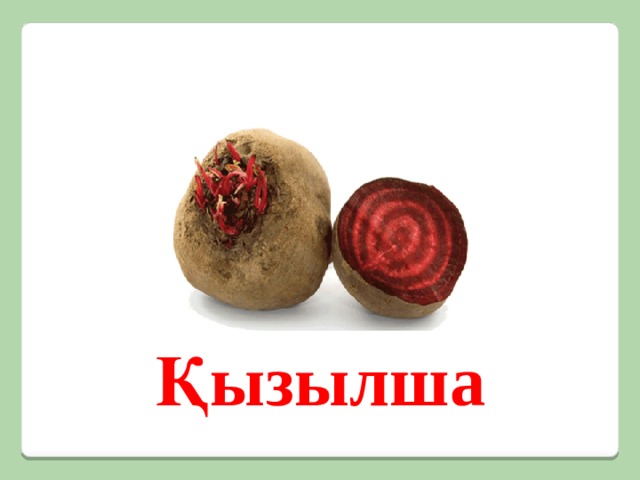 Қызылша 