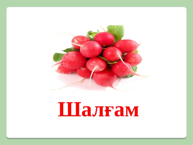 Шалғам 