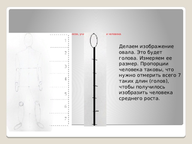      Прежде всего, делаем схематический набросок, учитывая пропорции человека.    Делаем изображение овала. Это будет голова. Измеряем ее размер. Пропорции человека таковы, что нужно отмерить всего 7 таких длин (голов), чтобы получилось изобразить человека среднего роста. 