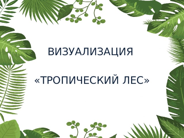 ВИЗУАЛИЗАЦИЯ «ТРОПИЧЕСКИЙ ЛЕС» 