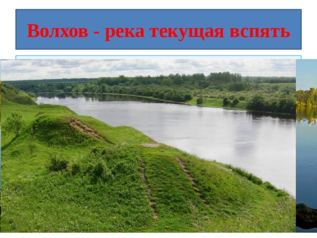 Волхов - река текущая вспять Волхов - река знаменитая, это начало известного из истории пути 