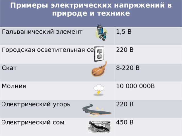 Примеры электрических напряжений в природе и технике  Гальванический элемент 1,5 В Городская осветительная сеть 220 В Скат 8-220 В Молния Электрический угорь 10 000 000В 220 В Электрический сом 450 В 