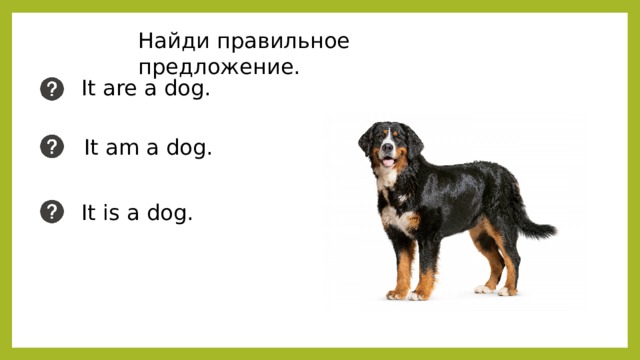 Найди правильное предложение. It are a dog. It am a dog. It is a dog. 
