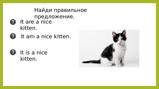 Найди правильное предложение. It are a nice kitten. It am a nice kitten. It is a nice kitten. 