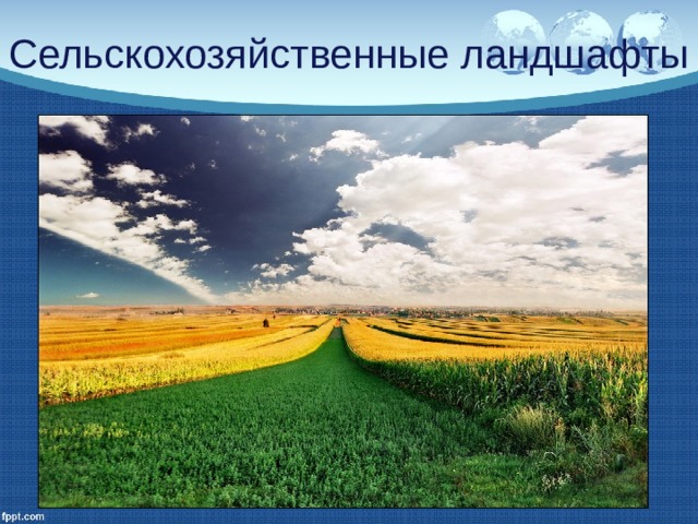 Сельскохозяйственные ландшафты 
