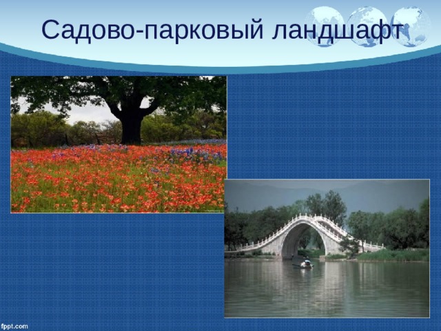 Садово-парковый ландшафт 