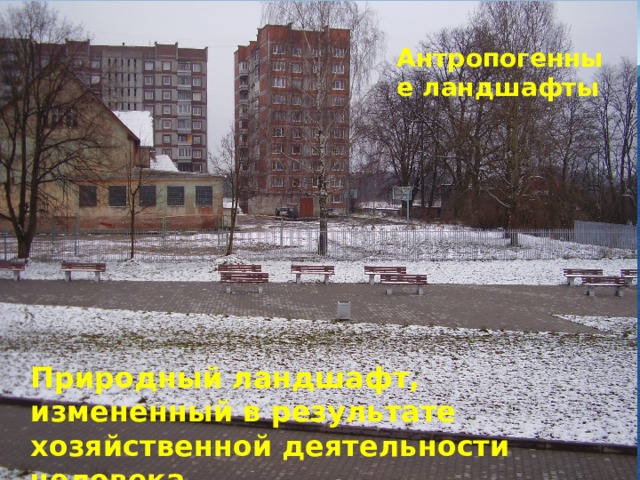 Антропогенные ландшафты  Природный ландшафт, измененный в результате хозяйственной деятельности человека 