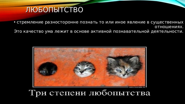 ЛЮБОПЫТСТВО  стремление разносторонне познать то или иное явление в существенных отношениях.  Это качество ума лежит в основе активной познавательной деятельности. 