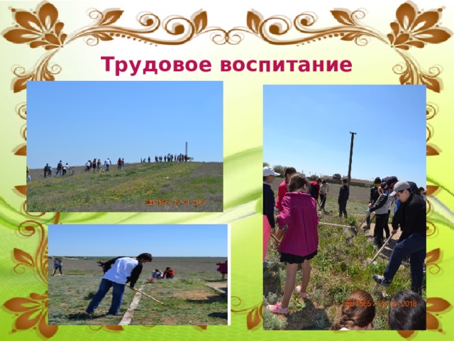 Трудовое воспитание 