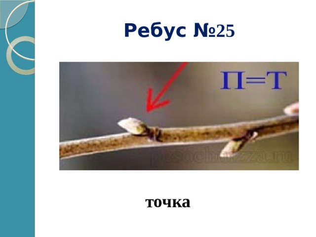 Ребус № 25 точка 