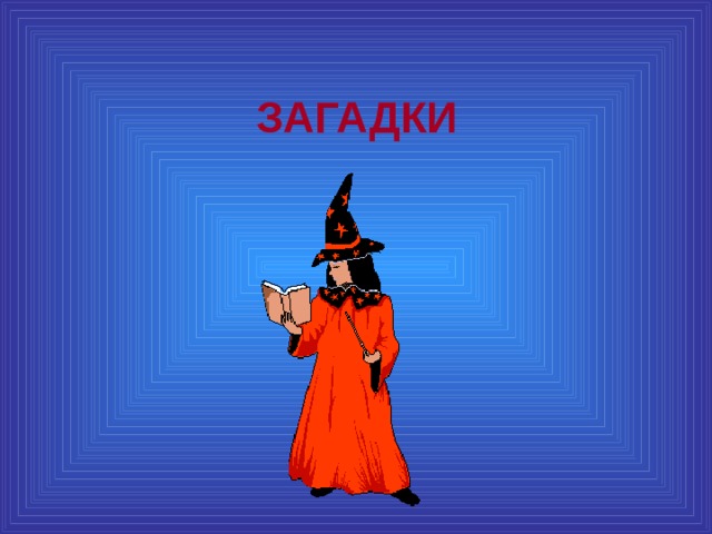 ЗАГАДКИ 