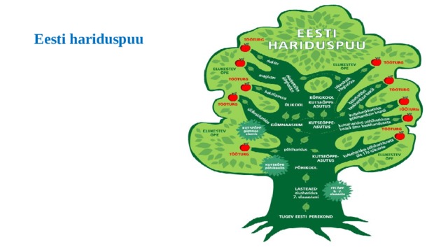 Eesti hariduspuu 