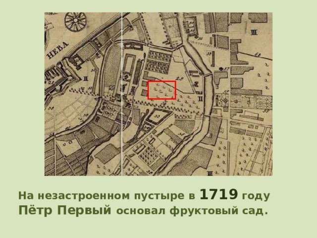 На незастроенном пустыре в 1719 году Пётр Первый основал фруктовый сад. 