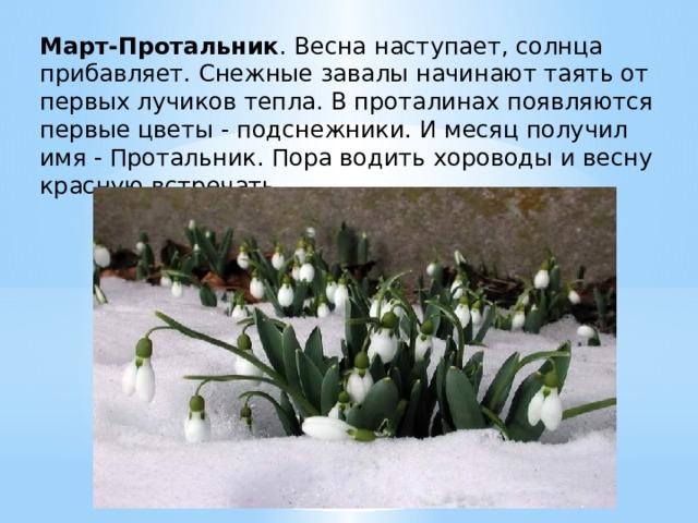 Март-Протальник . Весна наступает, солнца прибавляет. Снежные завалы начинают таять от первых лучиков тепла. В проталинах появляются первые цветы - подснежники. И месяц получил имя - Протальник. Пора водить хороводы и весну красную встречать. 