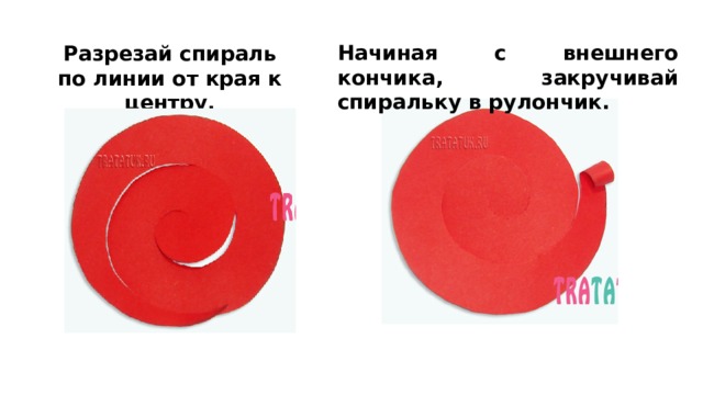 Начиная с внешнего кончика, закручивай спиральку в рулончик.  Разрезай спираль по линии от края к центру. 