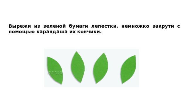 Вырежи из зеленой бумаги лепестки, немножко закрути с помощью карандаша их кончики. 