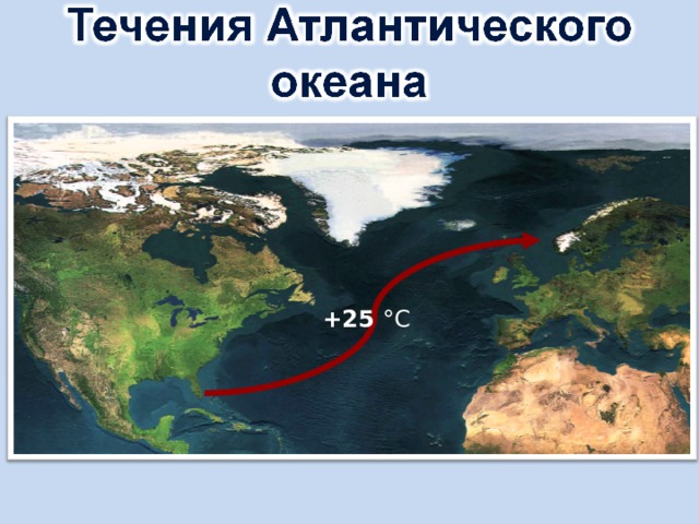 +25 °C 