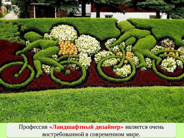 Профессия «Ландшафтный дизайнер» является очень востребованной в современном мире. 