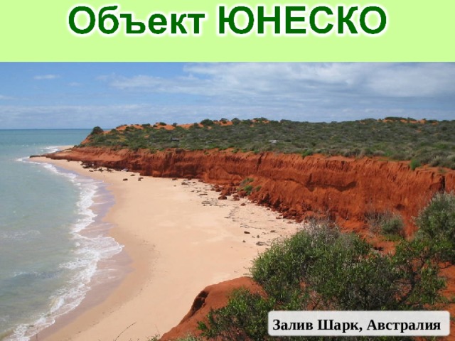 Залив Шарк, Австралия 
