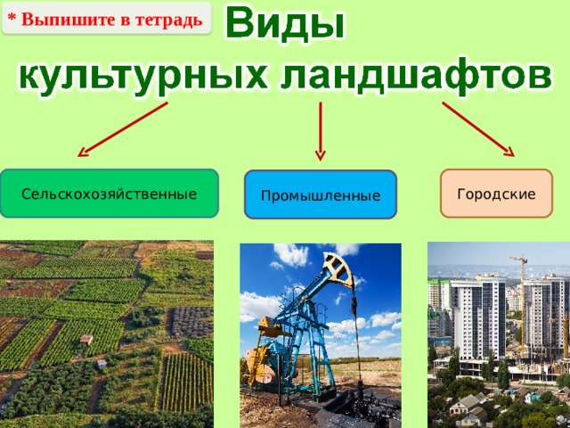 * Выпишите в тетрадь Городские Сельскохозяйственные Промышленные 