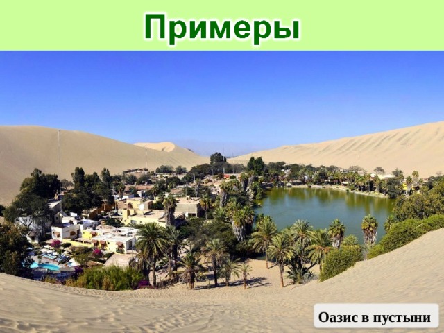 Оазис в пустыни 