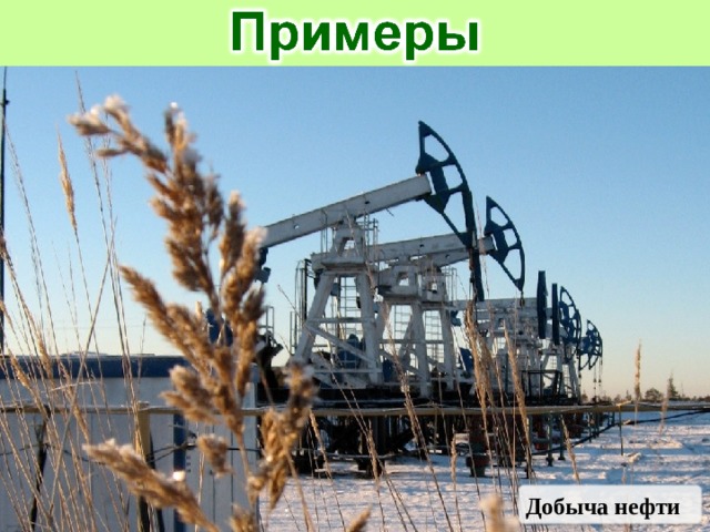 Добыча нефти 