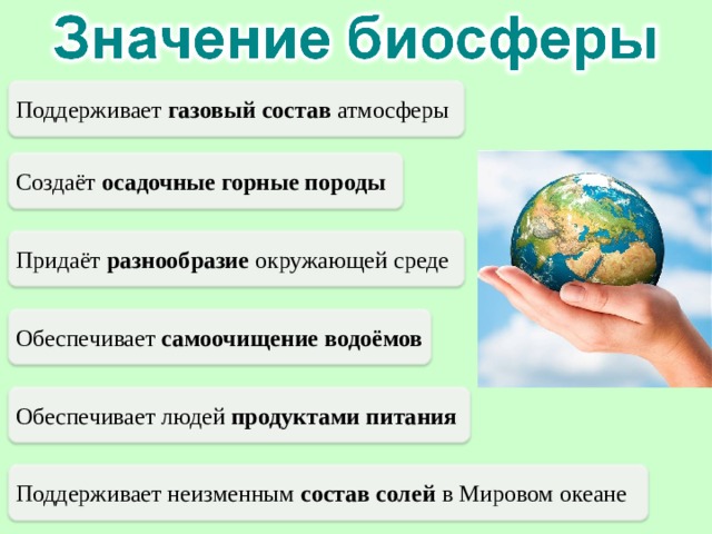 Поддерживает газовый состав атмосферы Создаёт осадочные горные породы Придаёт разнообразие окружающей среде Обеспечивает самоочищение водоёмов Обеспечивает людей продуктами питания Поддерживает неизменным состав солей в Мировом океане 