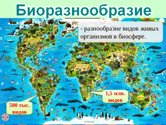 - разнообразие видов живых организмов в биосфере. 1,5 млн. видов 500 тыс. видов 