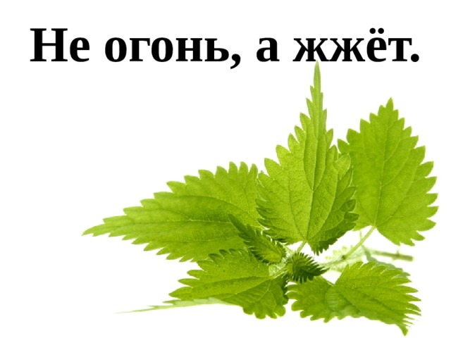 Не огонь, а жжёт. 